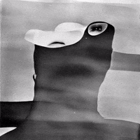 Bg Network GIF by Aleksey Efremov