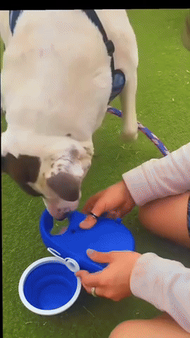 yaryancorredor giphyupload GIF