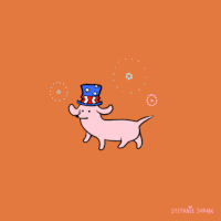 4Th Of July Dog GIF by Stefanie Shank