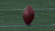 miami university GIF by Miami RedHawks Football