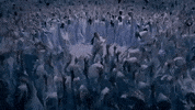 god is a woman GIF by Ariana Grande