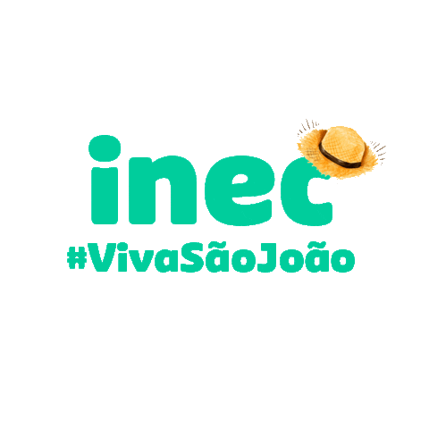 Festa Junina Junino Sticker by Instituto Nordeste Cidadania