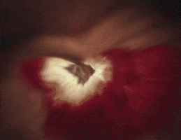 Eyes Looking GIF by Megan Thee Stallion