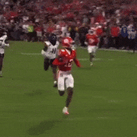 Clemson GIF