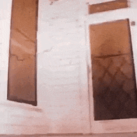 texas chainsaw massacre horror GIF by absurdnoise