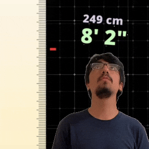 8' 2"