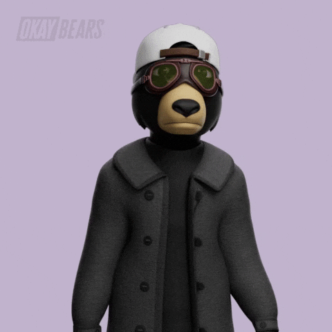 No Idea Idk GIF by Okay Bears