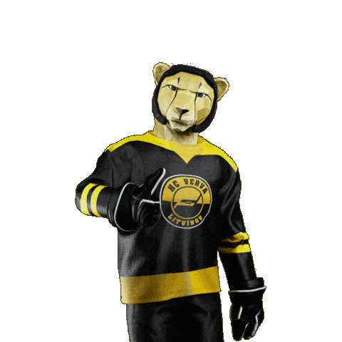 Hockey Hokej Sticker by Tipsport extraliga