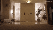 aint too cool music video GIF by LunchMoney Lewis 