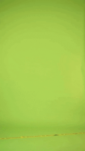 sportrabatt giphyupload sportrabatt GIF