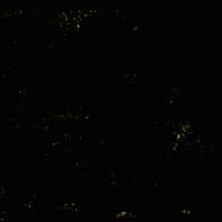 Protesting Black Lives Matter GIF by INTO ACTION