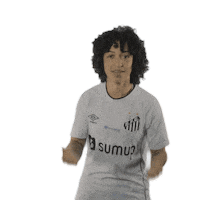 Futebol Feminino Sticker by Federação Paulista de Futebol