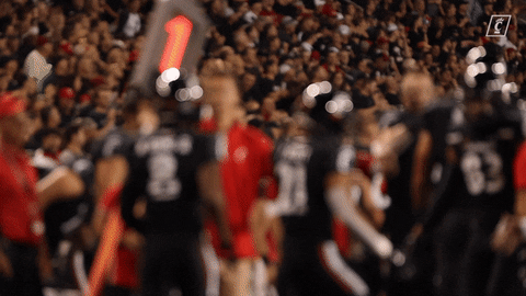 Happy College Football GIF by Cincinnati Bearcats