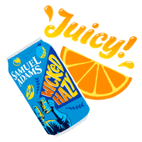 Sam Adams Summer Sticker by Samuel Adams Beer