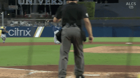 Excited Tampa Rays GIF by Jomboy Media