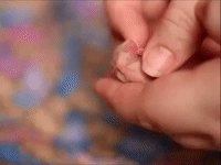 Time for Tickles With This Tiny Mouse
