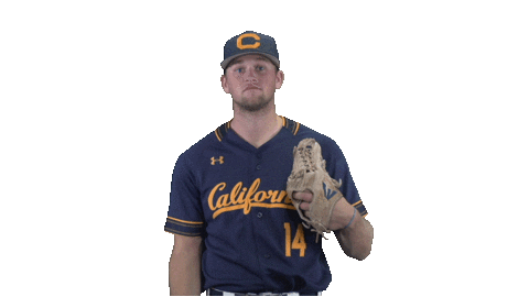 college baseball swing Sticker by Cal Athletics