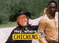 Chickens GIF by Buck Hills Farm