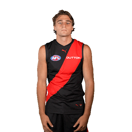 Football Sport Sticker by Essendon FC