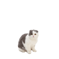 iloom 일룸 iloom Sticker