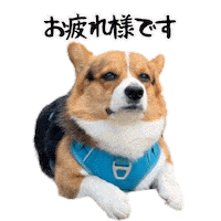 Corgi Milo Sticker
