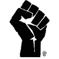 Mls Blm Sticker by Perfect Soccer