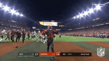 2018 nfl cleveland browns win GIF by NFL