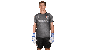 Robin Nec Sticker by necnijmegen