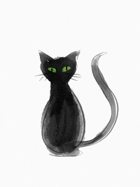Fail Black Cat GIF