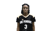 Womens Soccer Sticker by UNCP Braves Athletics