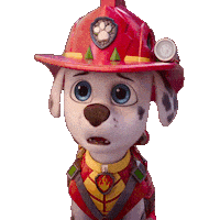 Shocked Nickelodeon Sticker by Paw Patrol Movies