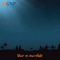 GIF by gnpseguros