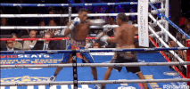 Fight Night boxing GIF by SHOWTIME Sports