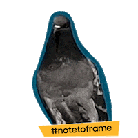 Notetoframe Sticker by Samsung Romania