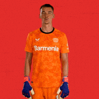 Bayer 04 Wow GIF by Bayer 04 Leverkusen