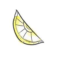 LeighElizabethStudio orange fruit lemon watermelon Sticker