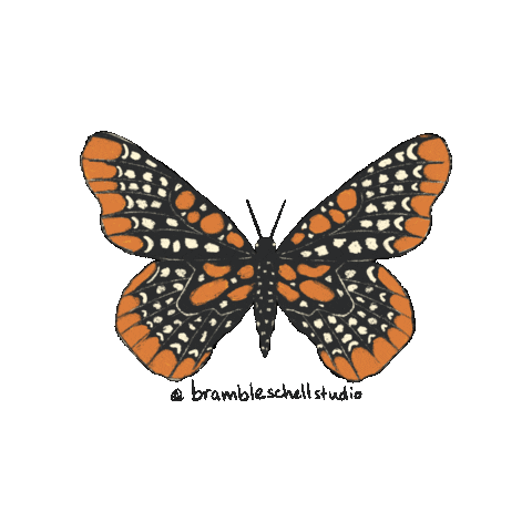 Animated Sticker