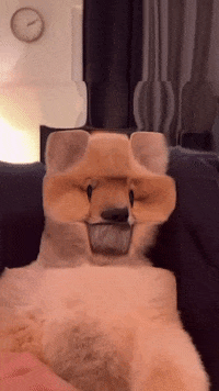 Coda Pome GIF