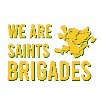 Saints Sticker by St. Clair College