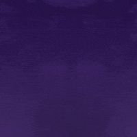 Yeti Geschlecht GIF by YK Animation Studio