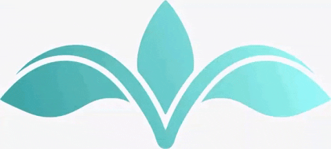 Majobeautyclub giphyupload majô majôbeautyclub majômajô GIF