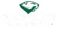 Volleyball Athletics Sticker by Babson College