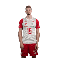 Kochan Sticker by Polska Siatkowka