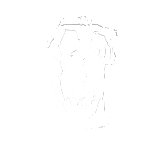Skull Sticker