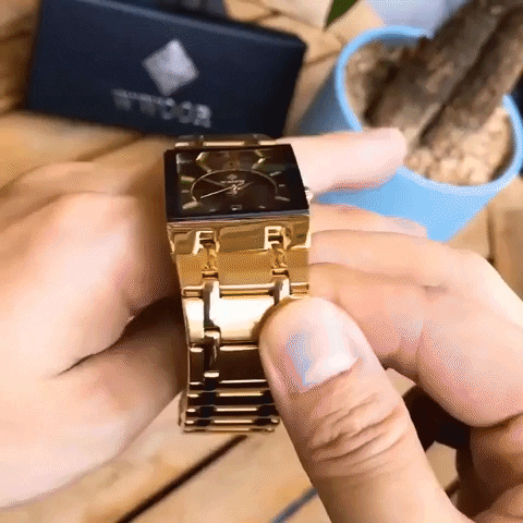 MeuRelogiodeLuxo giphygifmaker GIF