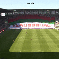 Fc Augsburg Soccer GIF by SPORT1