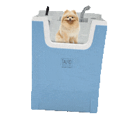 Pomeranian Petcare Sticker by TauroProLine_official