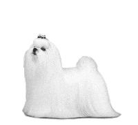 Dog Grooming Sticker by TauroProLine_official