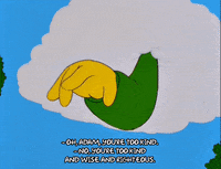 homer simpson GIF