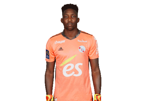 rcsa giphyupload celebration racing 30 Sticker